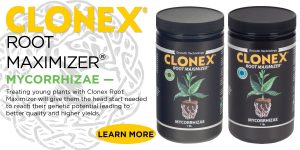 Clonex Root Maximizer - Hydrodynamics International | HDI | Hydroponics
