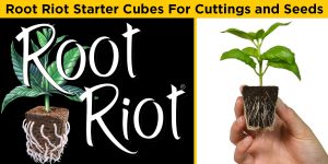 Root Riot Plant Starter Cubes - Hydrodynamics International | HDI | Hydroponics